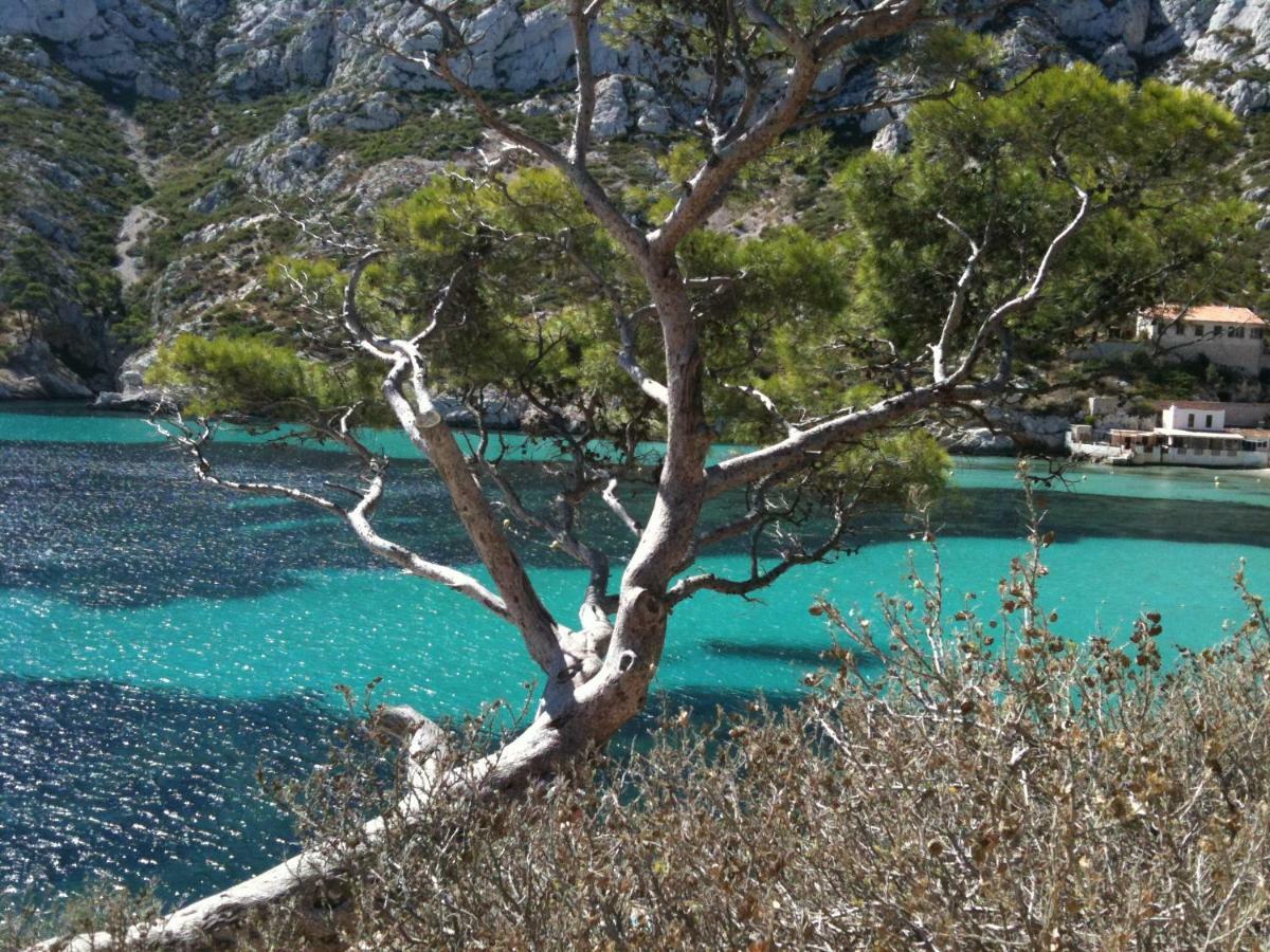 Home A La Mer La Ciotat Kültér fotó